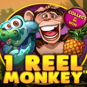 1 Reel Monkey