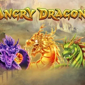 Angry Dragons