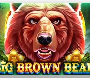 Big Brown Bear