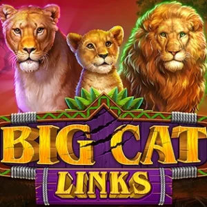 Big Cat Links
