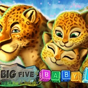 Big Five Baby 5