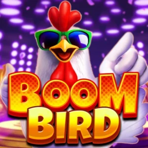 Boom Bird