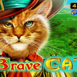 Brave Cat
