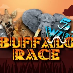 Buffalo Race