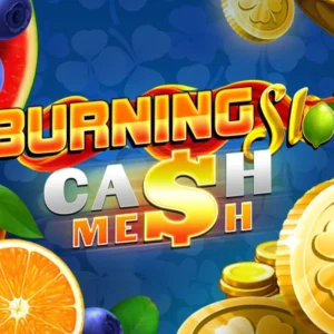 Burning Slots Cash Mesh