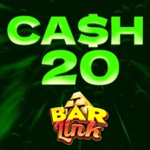 Cash 20 Bar Link