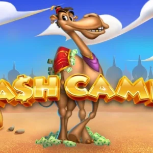 Cash Camel
