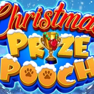 Christmas Prize Pooch