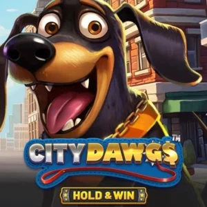 City Dawgs - Hold & Win