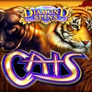 Diamond Spins Cats
