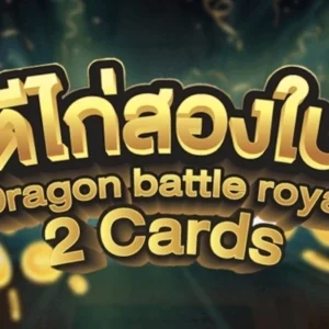 Dragon Battle Royal 2 Cards