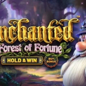 Enchanted: Forest of Fortune