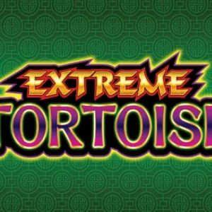 Extreme Tortoise