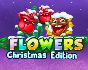 Flowers Christmas Edition