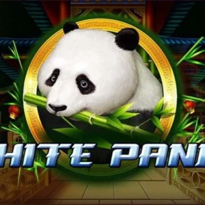 Full Moon: White Panda