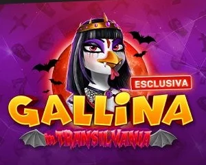 Gallina in Transilvania