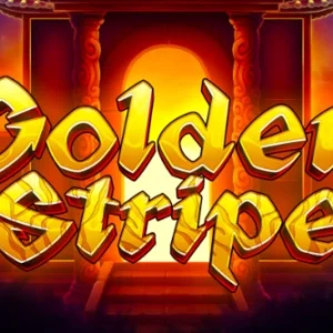 Golden Stripe