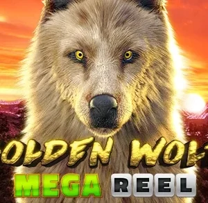 Golden Wolf Mega Reel