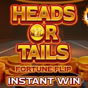 Heads or Tails Fortune Flip