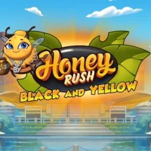Honey Rush Black and Yellow