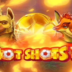 Hot Shots 2