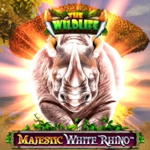 Majestic White Rhino