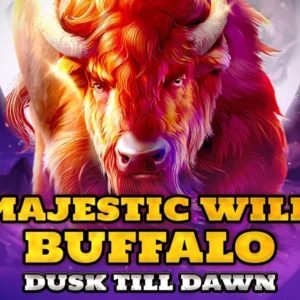 Majestic Wild Buffalo - Dusk Till Dawn