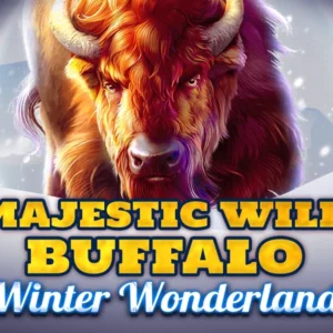 Majestic Wild Buffalo - Winter Wonderland