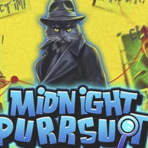 Midnight Purrsuit