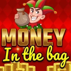 Money in the Bag