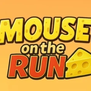 Mouse on the Run