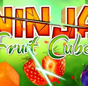 Ninja Fruit Cubes