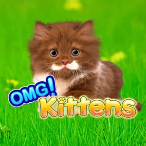 OMG Kittens