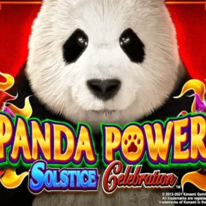 Panda Power Solstice Celebration