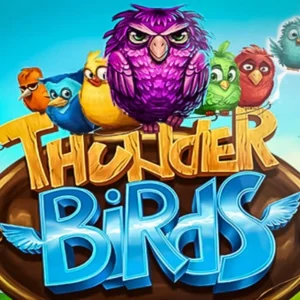 Power Zones: Thunder Birds