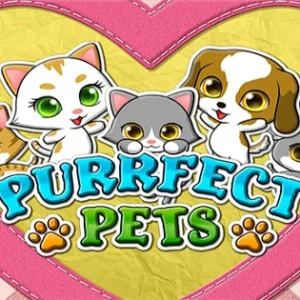 Purrfect Pets