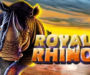 Royal Rhino