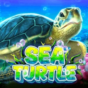 Sea Turtle