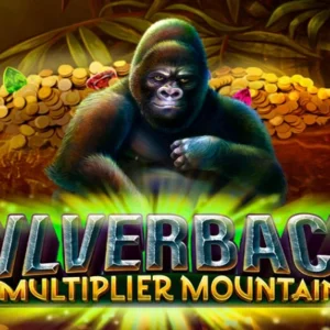 Silverback: Multiplier Mountain