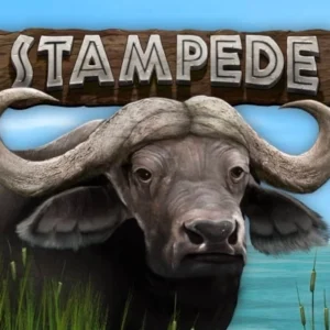 Stampede