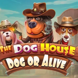 The Dog House - Dog or Alive