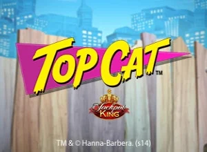 Top Cat