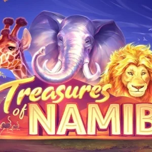 Treasures of Namib