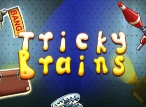 Tricky Brains