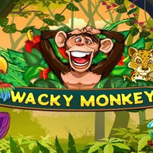 Wacky Monkey