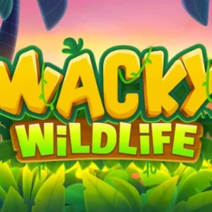 Wacky Wildlife