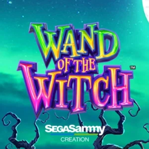 Wand of the Witch