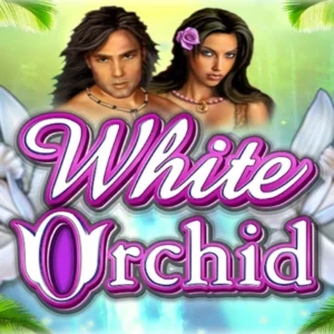 White Orchid