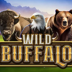 Wild Buffalo