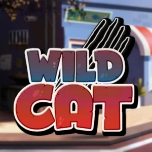 Wild Cat